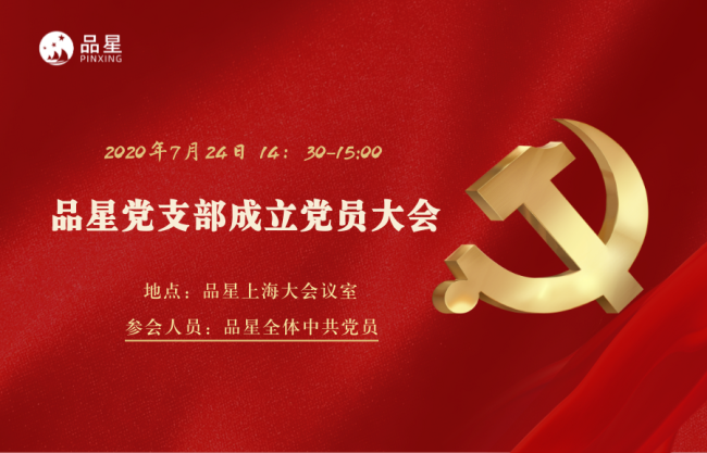 新起点新征程，上海品星互联网信息技术有限公司党支部正式成立